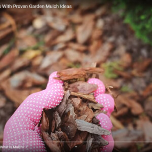 Everything You Need To Know About Mulch For The Garden – With Tony O’Neill From Simplify Gardening